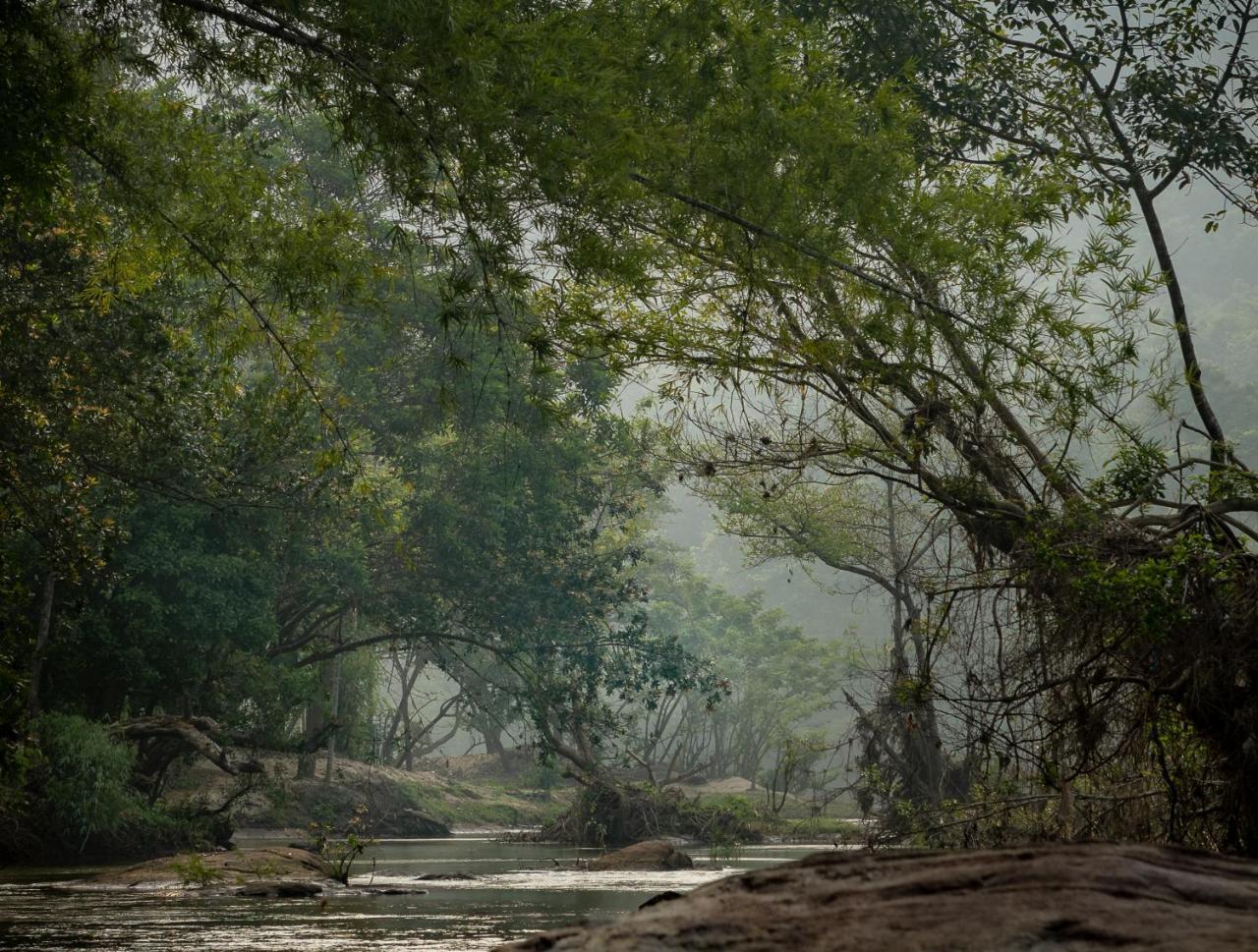 Quiet By The River- Cgh Earth Thodakayam Luaran gambar