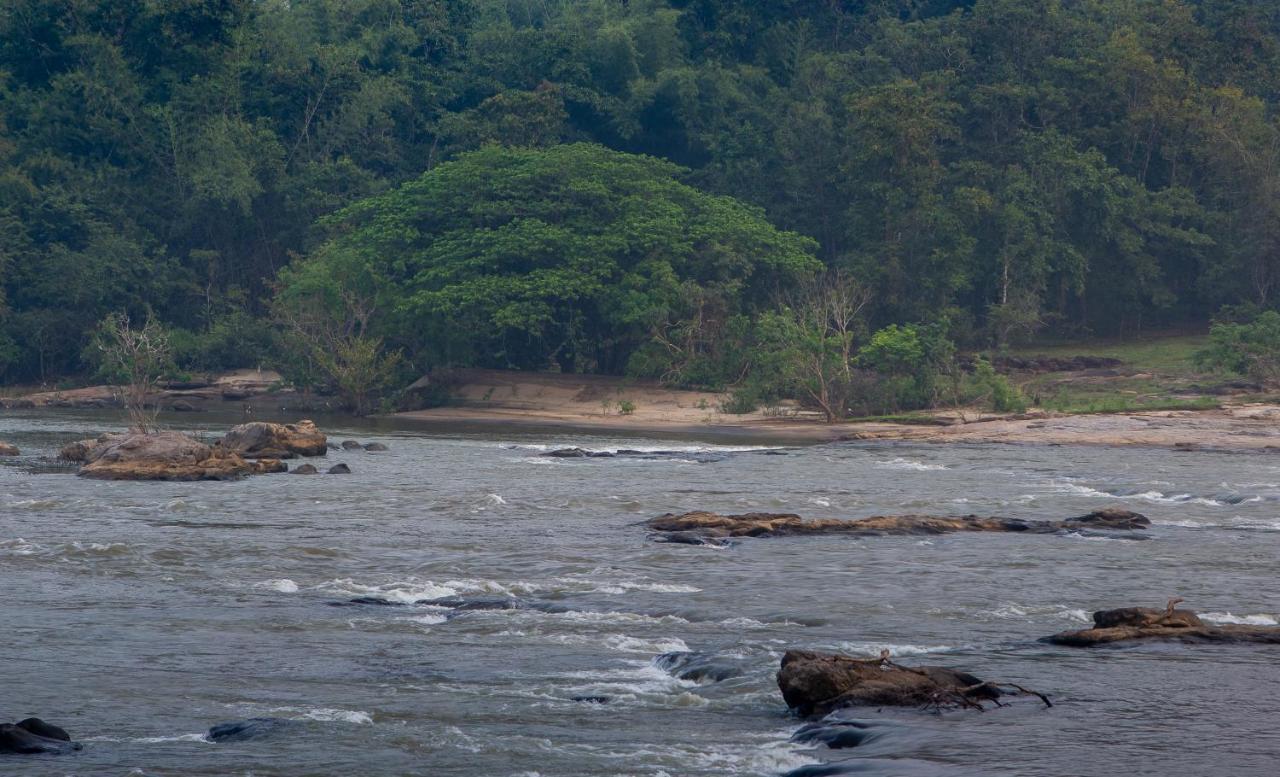 Quiet By The River- Cgh Earth Thodakayam Luaran gambar
