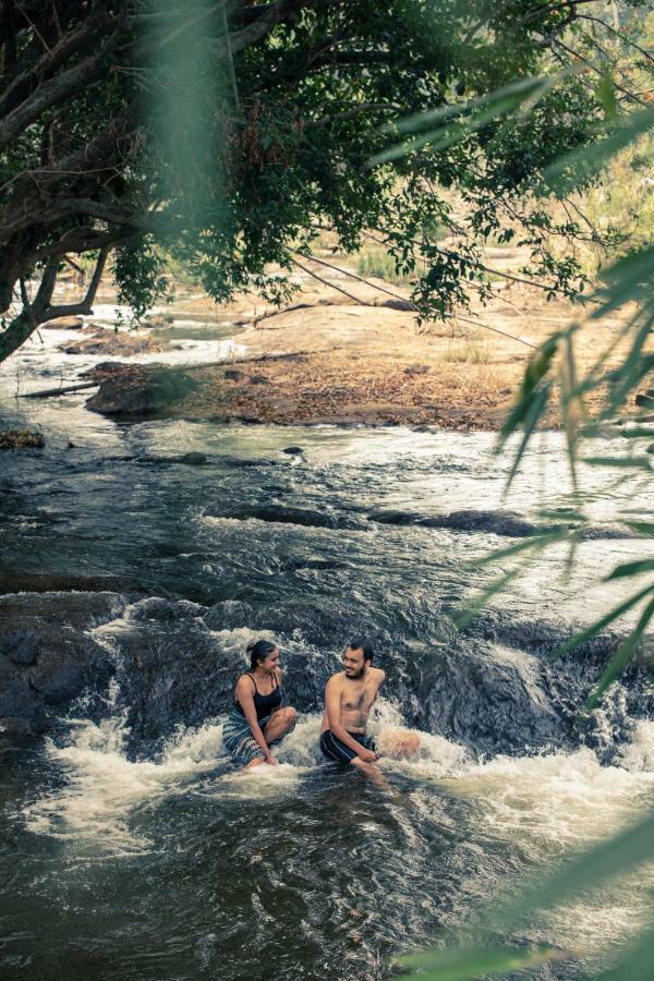 Quiet By The River- Cgh Earth Thodakayam Luaran gambar